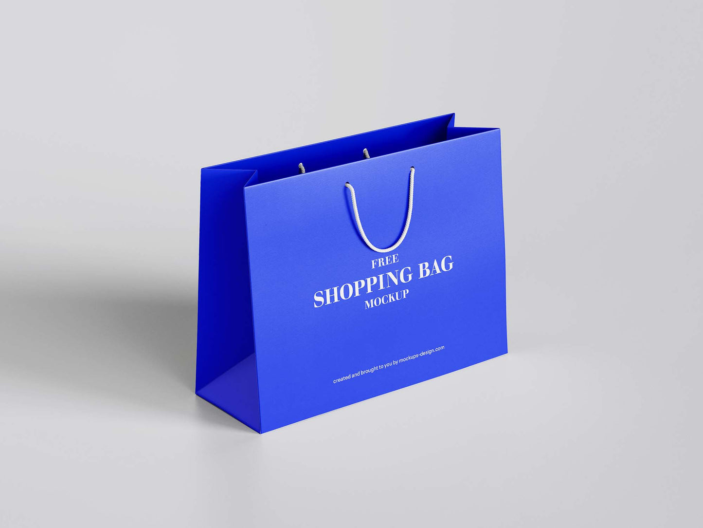 Paper Shopping Bag